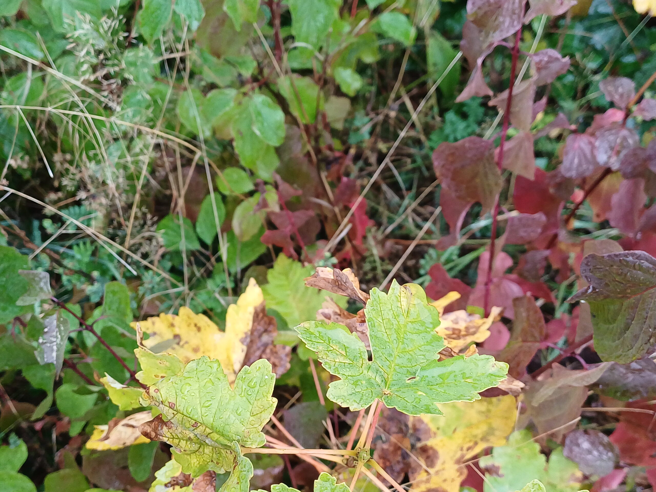 Herbstferien!